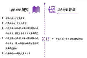 艹比网站非评估类项目发展历程